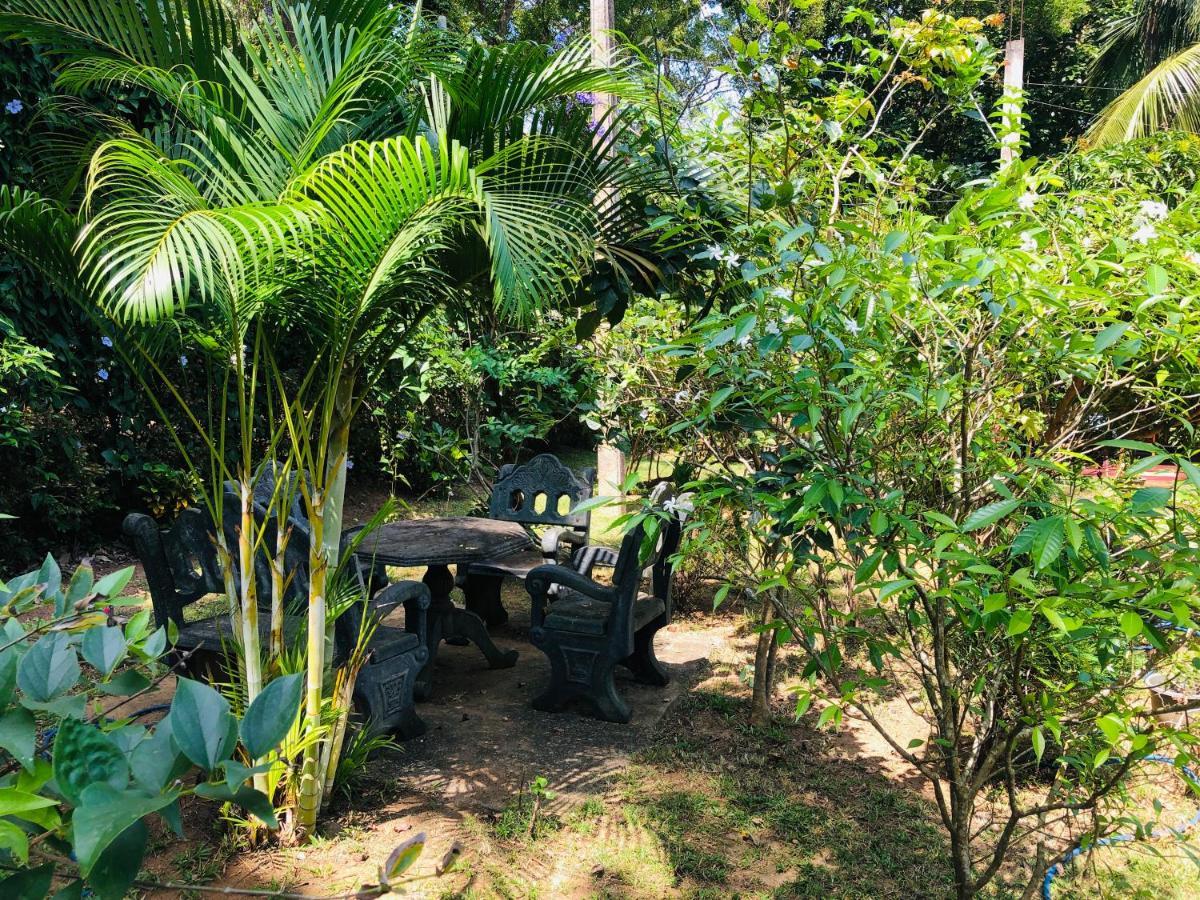 Sigiriya Nature Villa Lodge Dış mekan fotoğraf