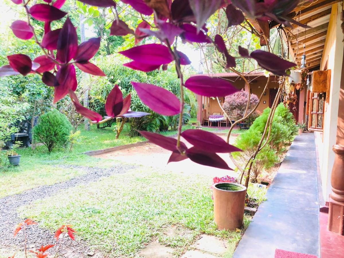 Sigiriya Nature Villa Lodge Dış mekan fotoğraf