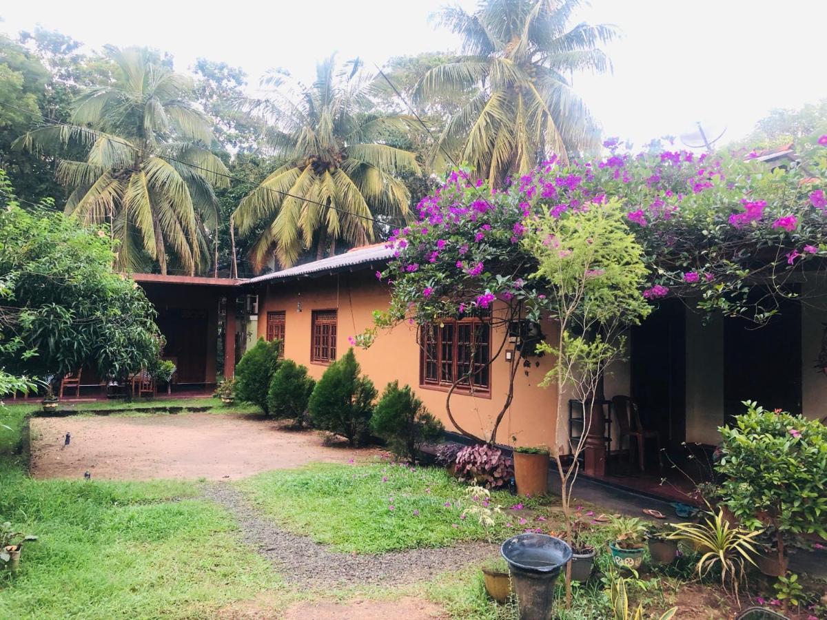 Sigiriya Nature Villa Lodge Dış mekan fotoğraf