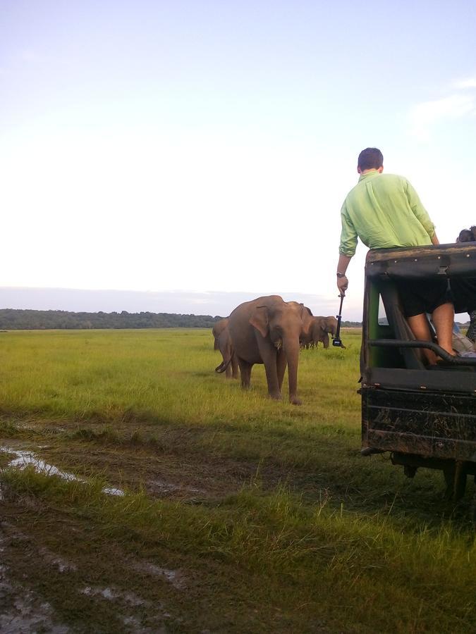 Sigiriya Nature Villa Lodge Dış mekan fotoğraf