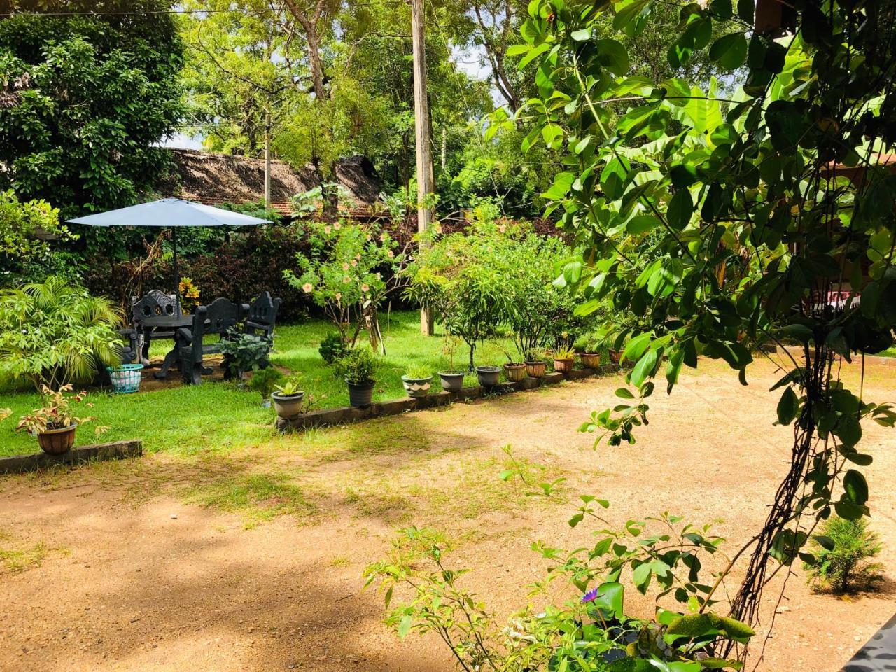 Sigiriya Nature Villa Lodge Dış mekan fotoğraf