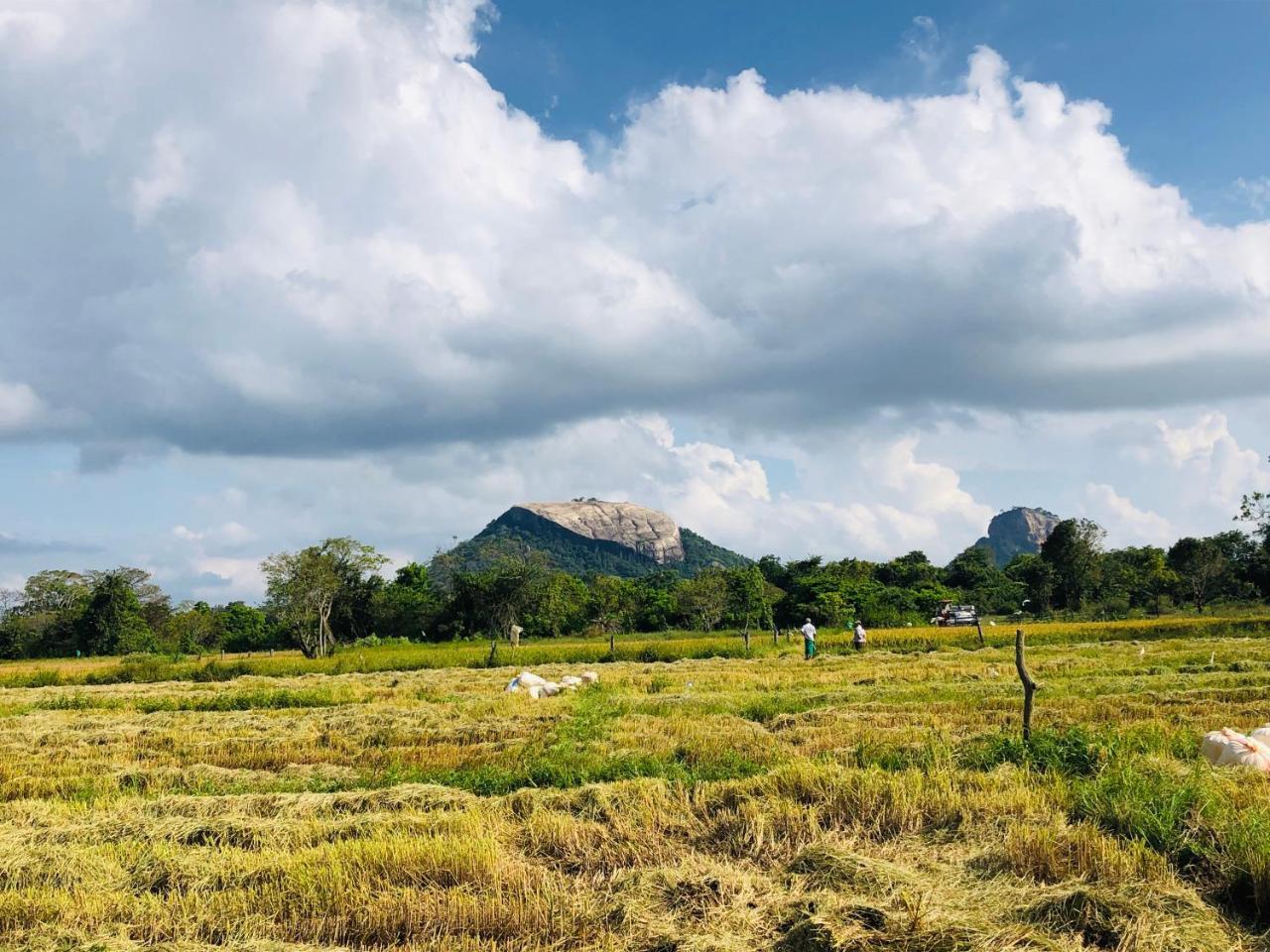 Sigiriya Nature Villa Lodge Dış mekan fotoğraf