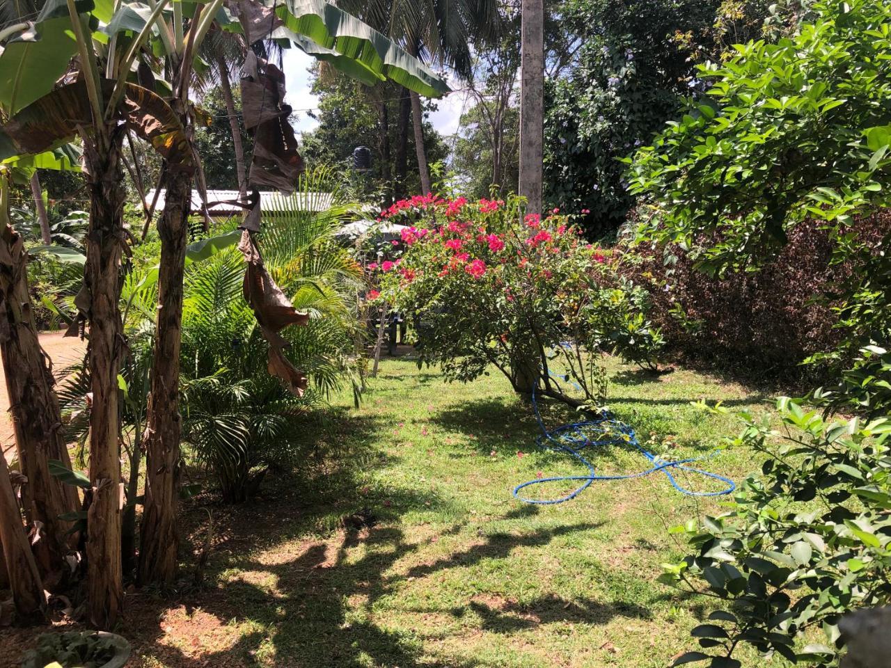 Sigiriya Nature Villa Lodge Dış mekan fotoğraf