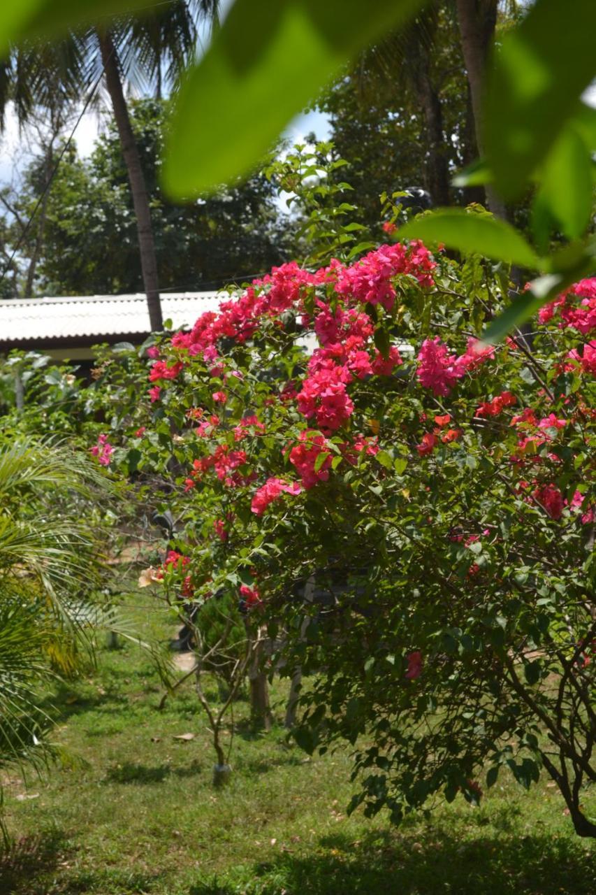 Sigiriya Nature Villa Lodge Dış mekan fotoğraf