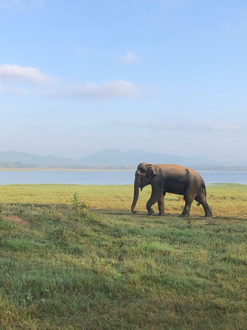 Sigiriya Nature Villa Lodge Dış mekan fotoğraf